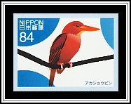 Ruddy Kingfisher