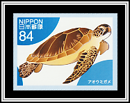 Green Turtle