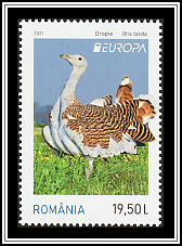 Great Bustard