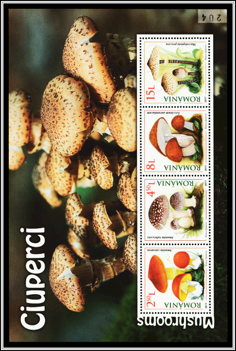 Limited Edition Souvenir Sheet