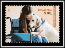 Man's Best Friend