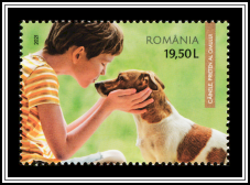 Man's Best Friend