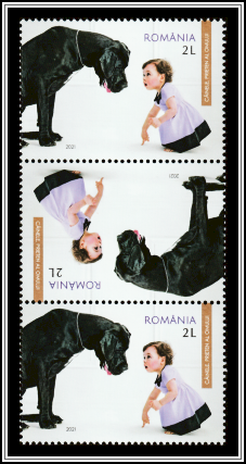 Man's Best Friend