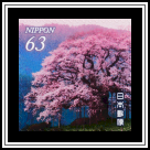 Daigo-Sakura near Maniwa City
