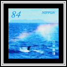 Humpback Whale Blowhole Spray Rainbow