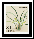 Common Oreorchis
