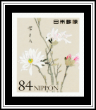 Kobushi Magnolia