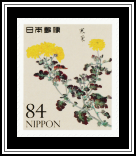 Winter Chrysanthemum