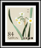 Daffodil