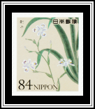 Fringed Iris