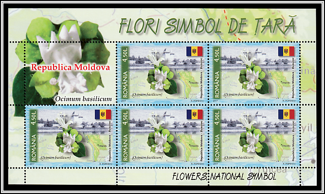 Moldova - Basil (Ocimum basilicum)