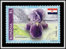 Croatia - Croatian Iris (Iris croatica)