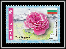 Bulgaria - Damask Rose (Rosa x damascena)