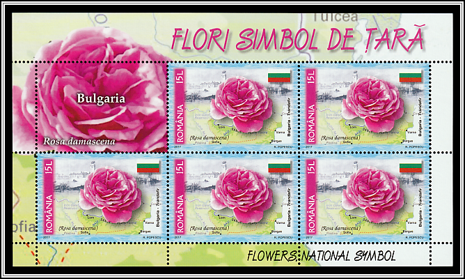 Bulgaria - Damask Rose (Rosa x damascena)