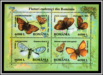Butterflies Endemic to Romania