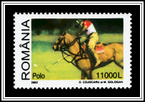 Polo
