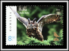 Eurasian Eagle Owl (Bubo bubo)