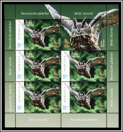 Eurasian Eagle Owl (Bubo bubo)