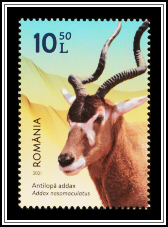 Addax (Addax nasomaculatus)