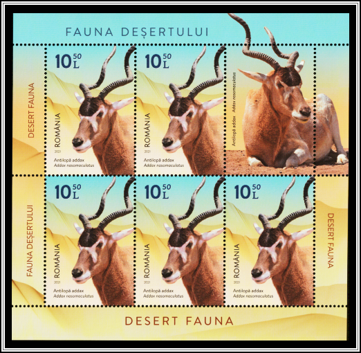 Addax (Addax nasomaculatus)