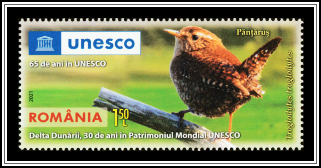 Eurasian Wren (Troglodytes troglodytes)