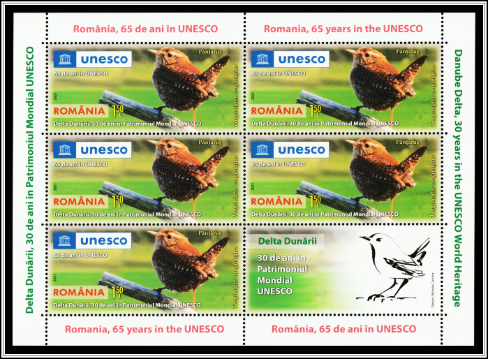 Eurasian Wren (Troglodytes troglodytes)