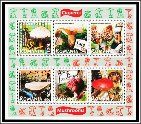 Edible and Poisonous Mushrooms