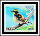 Narcissus Flycatcher (Ficedula narcissina)