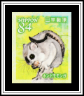 Dwarf Flying Squirrel (Pteromys momonga)