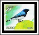 Blue-and-white Flycatcher (Cyanoptila cyanomelana)
