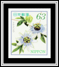 Blue Passionflower