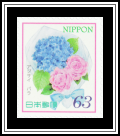 Hydrangea & Rose