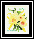 Chinese Peony