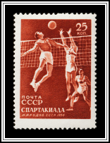 Volleyball