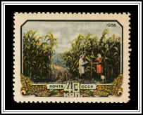 Workers in Corn Field
