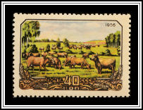 Cattle in a Pasture