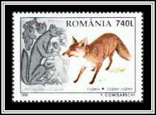 Red Fox (Vulpes vulpes)