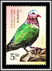 Common Emerald Dove (Chalcophaps indica)