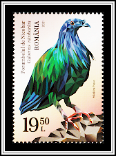 Nicobar Pigeon (Caloenas nicobarica)