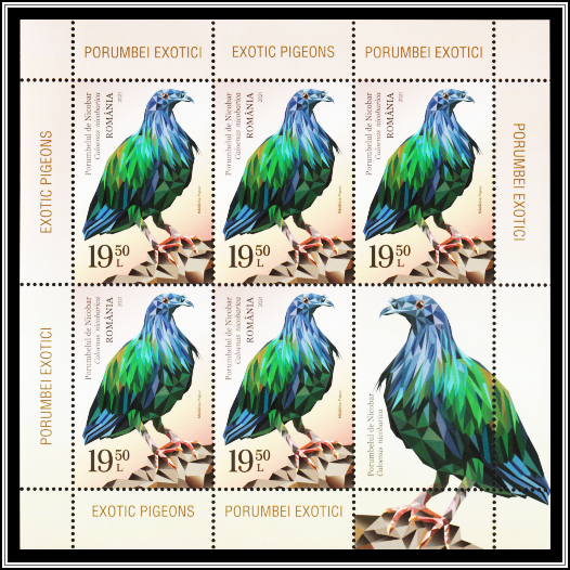 Nicobar Pigeon (Caloenas nicobarica)