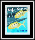 Golden Trevally (Gnathanodon speciosus)