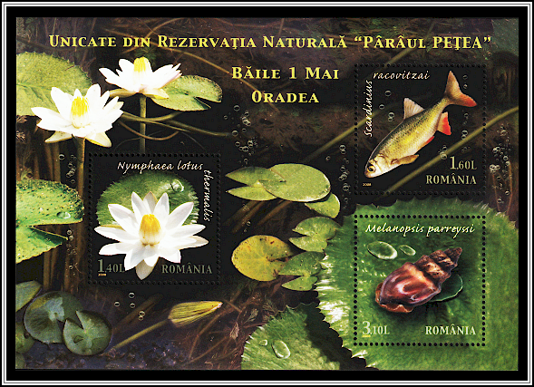 Flora and Fauna of the Pețea Brook (Pârâul Peța) Nature Reserve