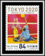 Sitting Volleyball