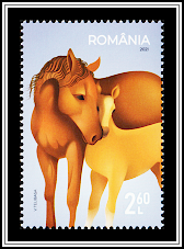 Horses