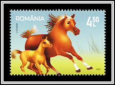 Horses