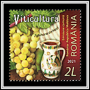Zghihara Grapes and Painted Cup