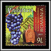 Rara Neagră Grapes and Traditional Flask