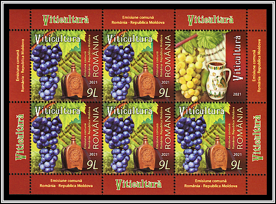 Rara Neagră Grapes and Traditional Flask