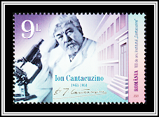 Ion Cantacuzino