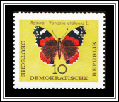 Red Admiral (Vanessa atalanta)